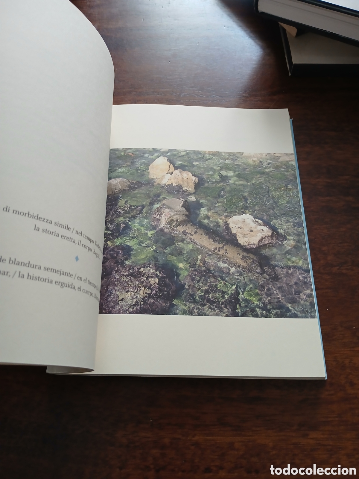 Libros de segunda mano: Los limones absortos, Aurora Luque - Foto 3