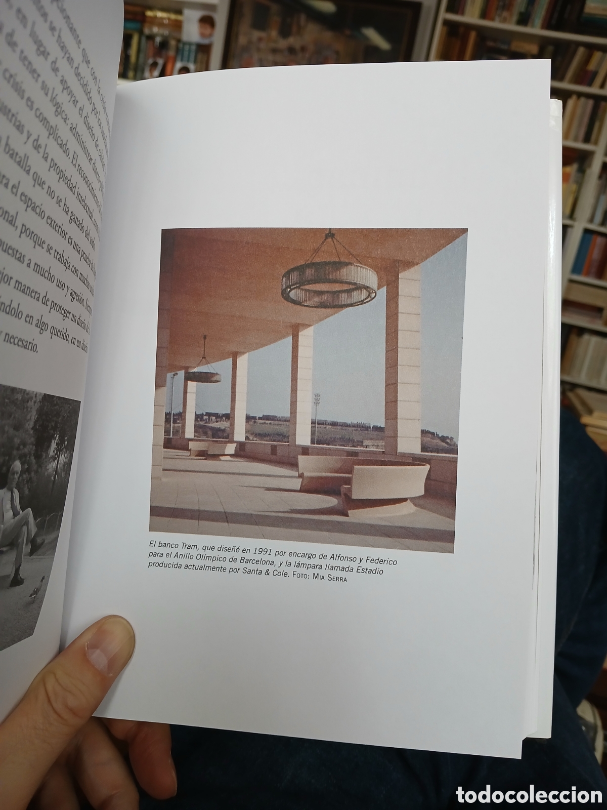 Libros de segunda mano: Los limones absortos, Aurora Luque - Foto 5