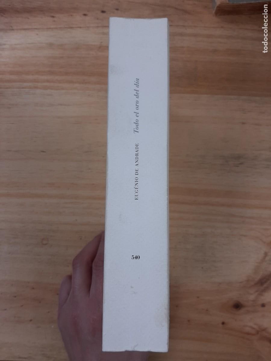 Libros de segunda mano: Todo el oro del d&iacute;a - Eugenio De Andrade - Pre-textos, 2001 - Foto 2
