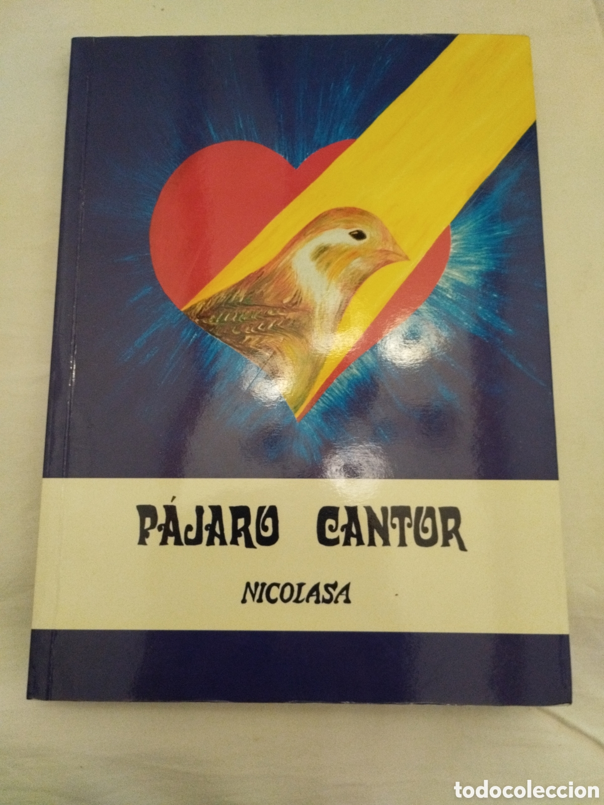 Libros de segunda mano: P&Aacute;JARO CANTOR. Nicolasa Mart&iacute;nez Jim&eacute;nez - Foto 1