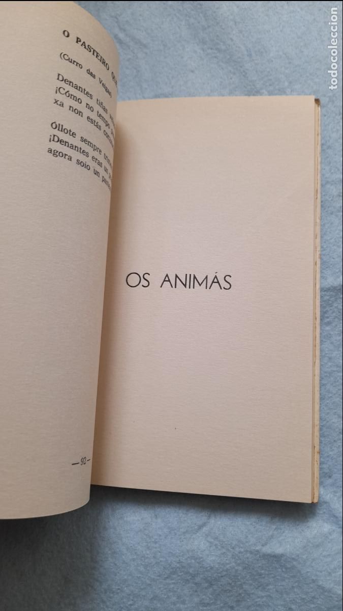 Libros de segunda mano: Terra Ch&aacute;. Manuel Mar&iacute;a. Lugo. - Foto 5