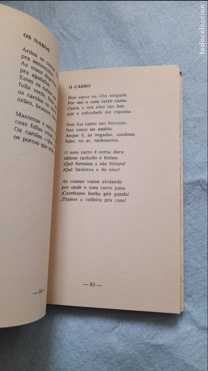Libros de segunda mano: Terra Ch&aacute;. Manuel Mar&iacute;a. Lugo. - Foto 6