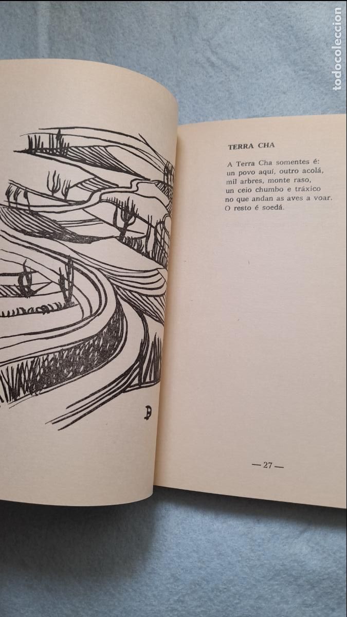 Libros de segunda mano: Terra Ch&aacute;. Manuel Mar&iacute;a. Lugo. - Foto 9
