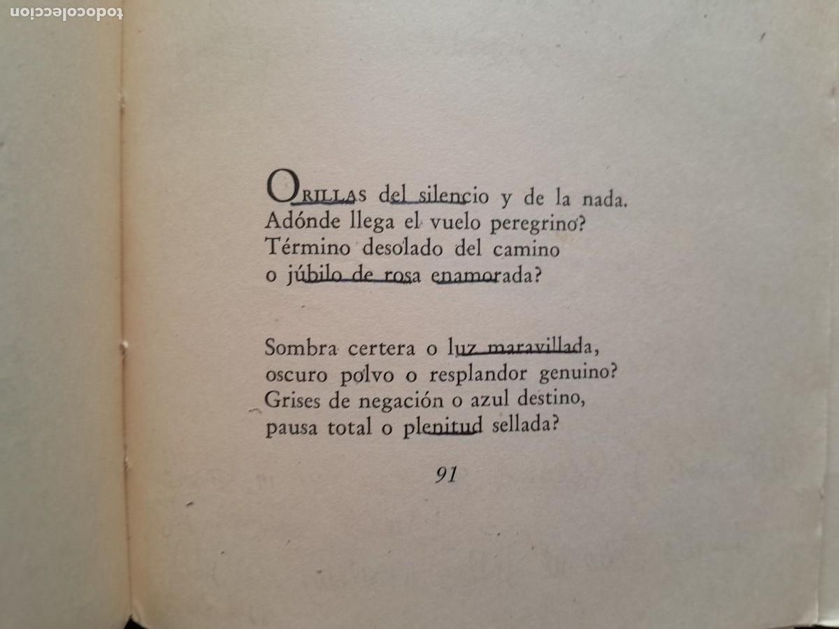 Libros de segunda mano: DESNUDA. MATILDE LADRON DE GUEVARA. LOSADA 1960 - Foto 5
