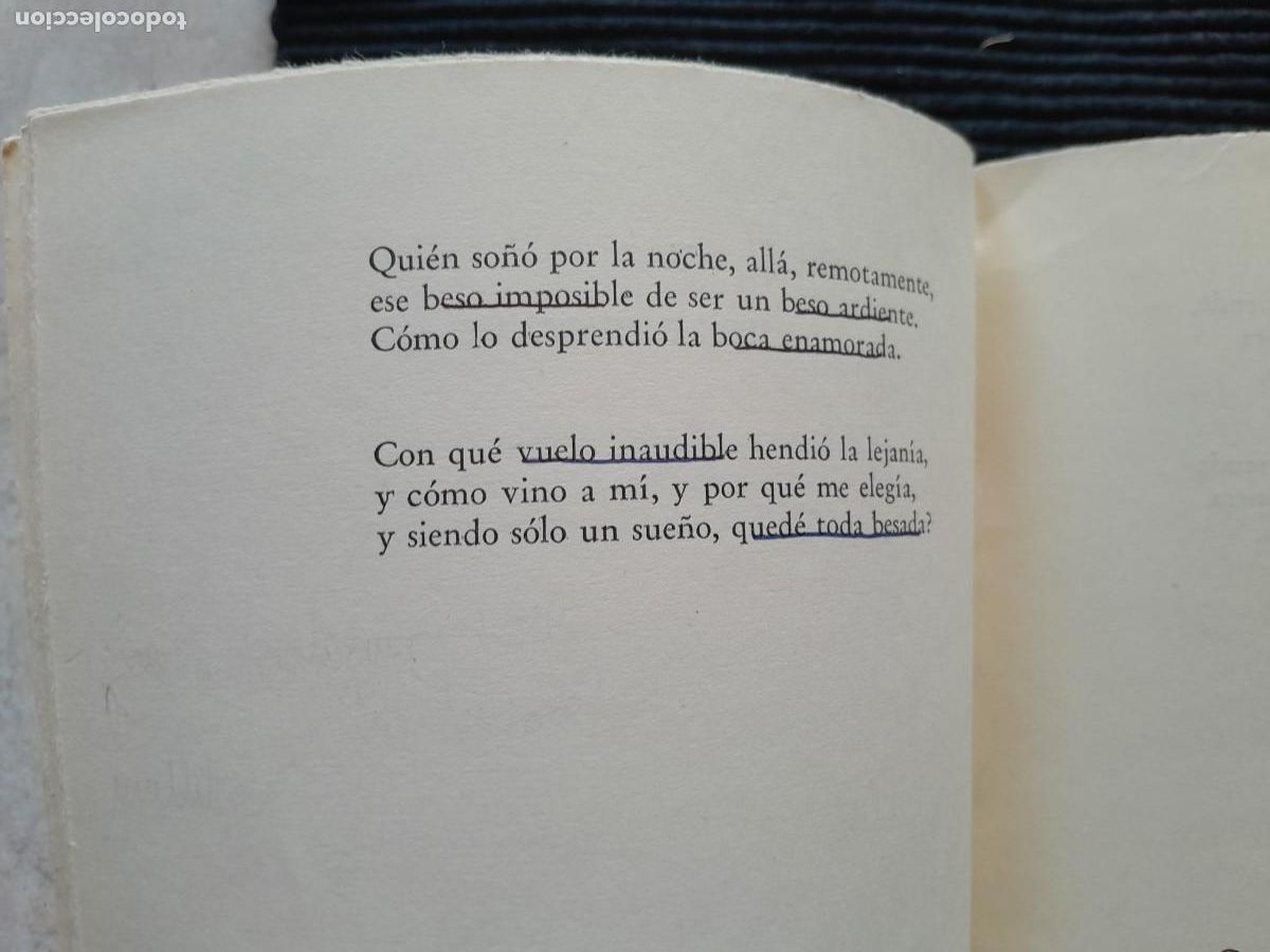 Libros de segunda mano: DESNUDA. MATILDE LADRON DE GUEVARA. LOSADA 1960 - Foto 9