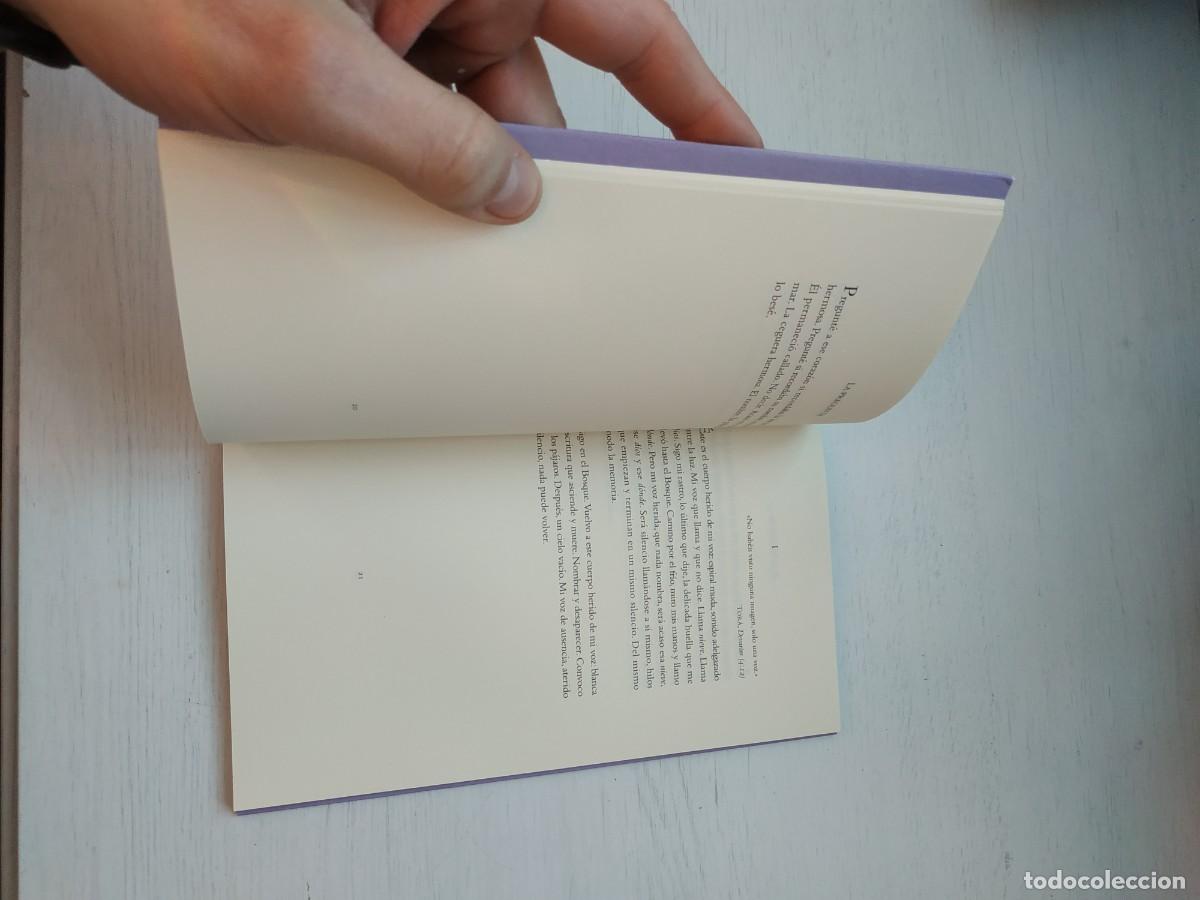 Libros de segunda mano: El gran bosque - Marta L&oacute;pez Vilar. Pre-textos - Foto 3