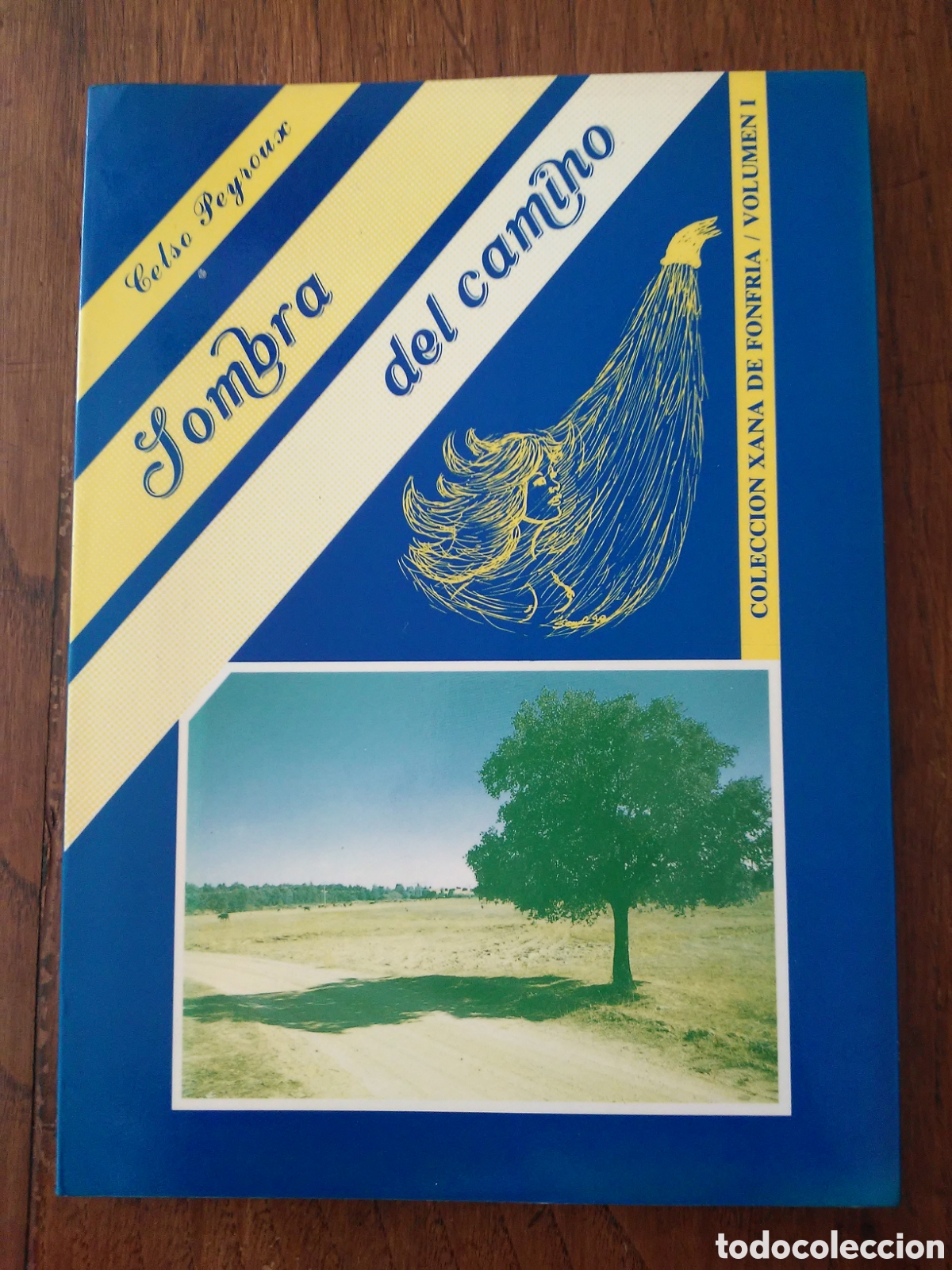 Libri di seconda mano: Sombra del camino / Celso Peyroux / Imprenta Gofer en Oviedo 1990