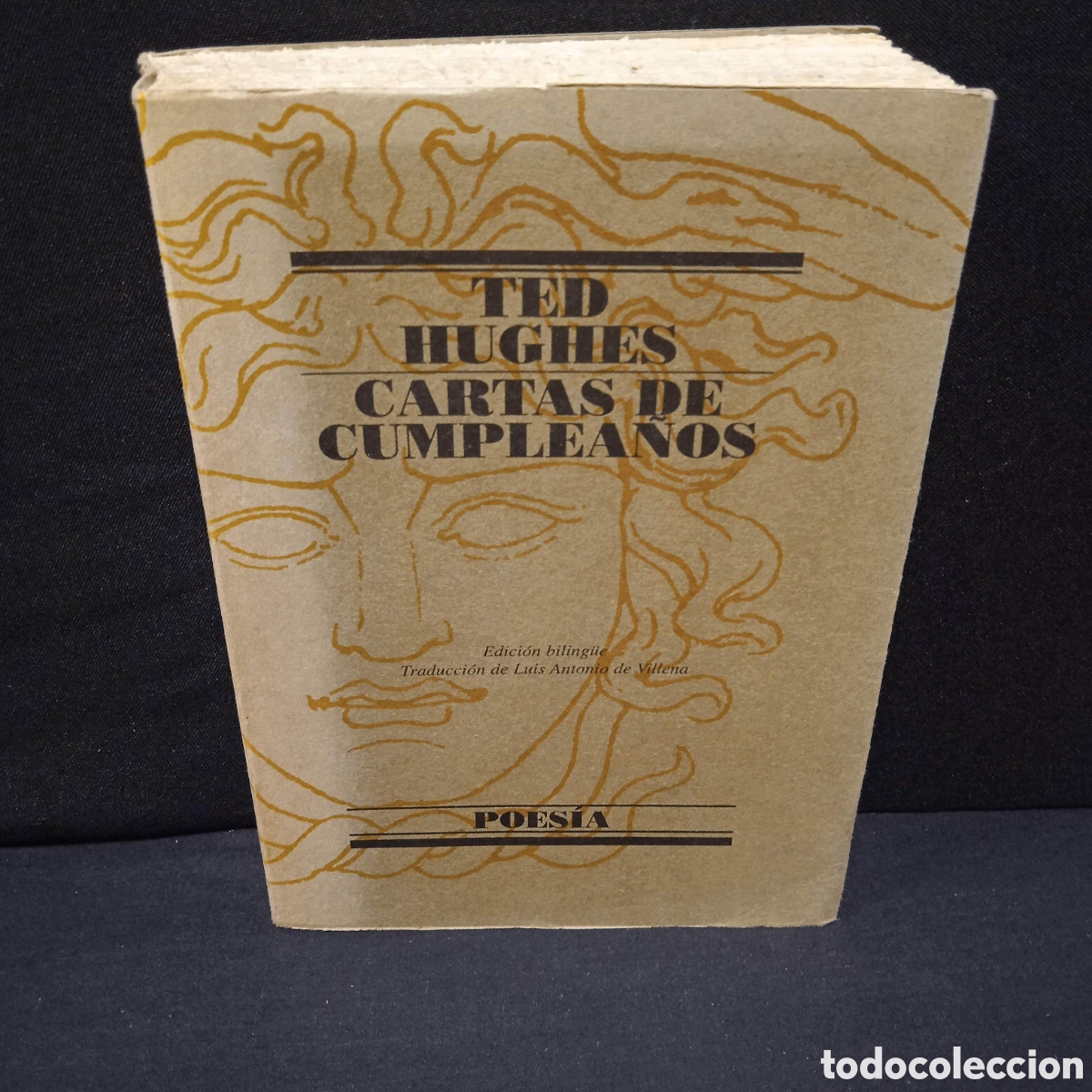 Libros de segunda mano: CARTAS DE CUMPLEA&Ntilde;OS - TED HUGHES (BILING&Uuml;E TRAD LUIS A DE VILLENA) - LUMEN 1999 (1&ordf;) #9335