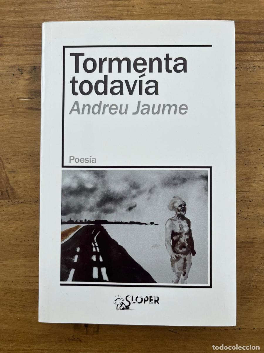 Libros de segunda mano: Tormenta todav&iacute;a (Andreu Jaume) - Foto 1
