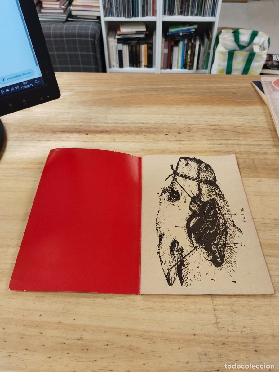 Libros de segunda mano: Morgue - Gottfried Benn - Foto 3