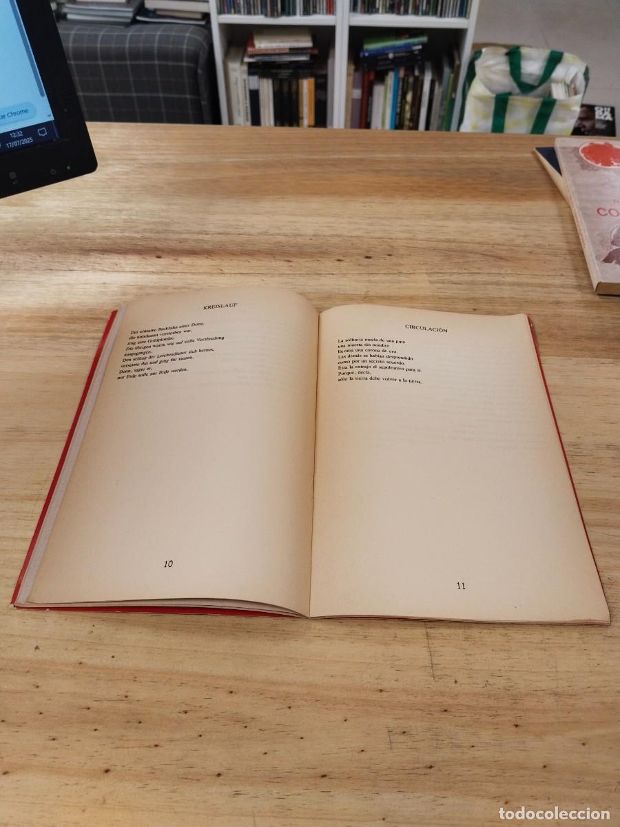 Libros de segunda mano: Morgue - Gottfried Benn - Foto 6