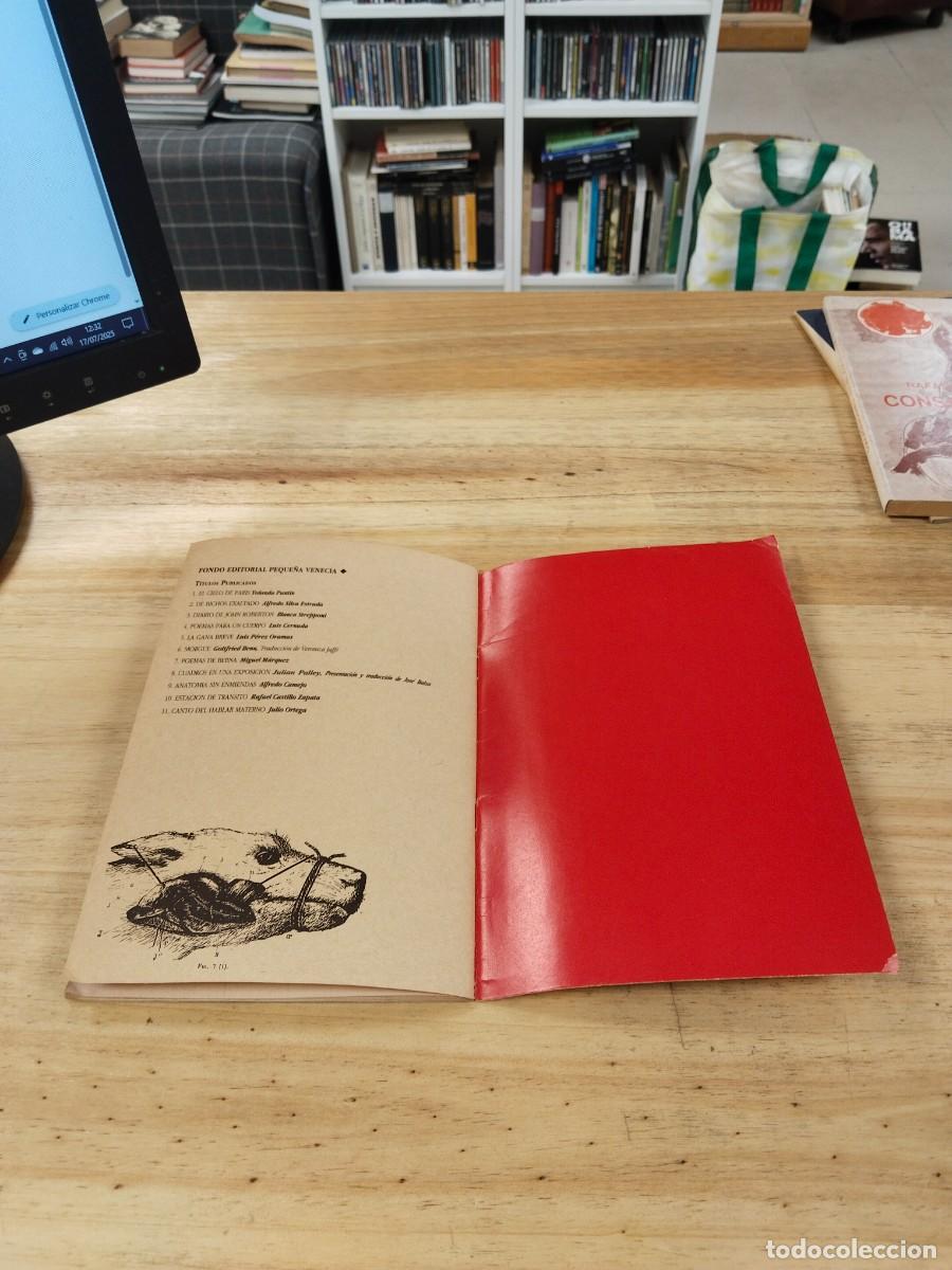 Libros de segunda mano: Morgue - Gottfried Benn - Foto 11