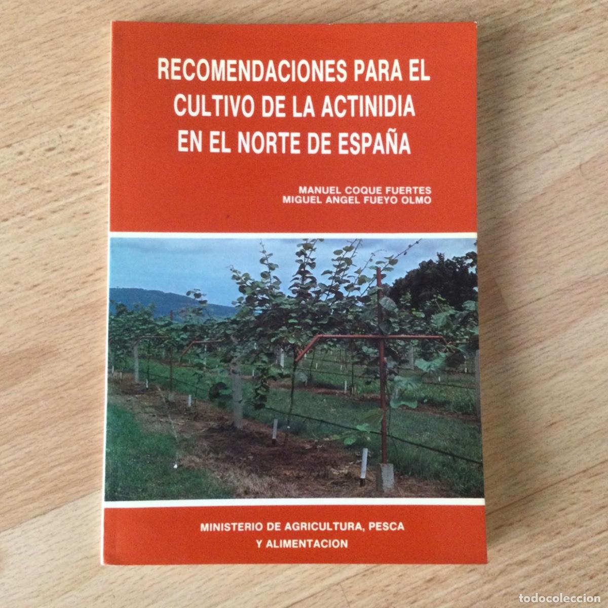Libros de segunda mano: Recomendaciones para el cultivo de la actinidia en el norte de Espa&ntilde;a. MAPA. Nuevo