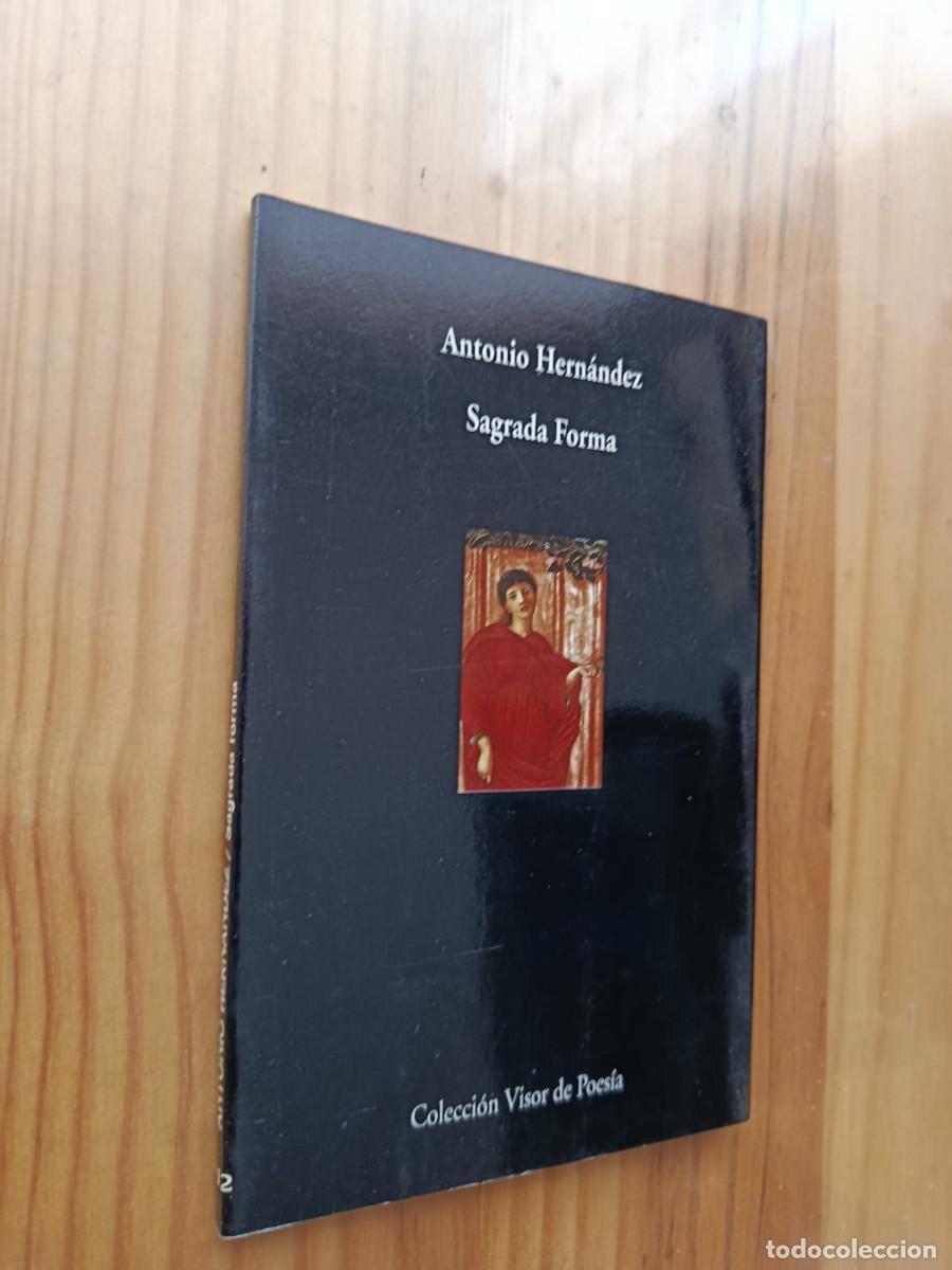 Libros de segunda mano: SAGRADA FORMA - Antonio Hern&aacute;ndez - Foto 1