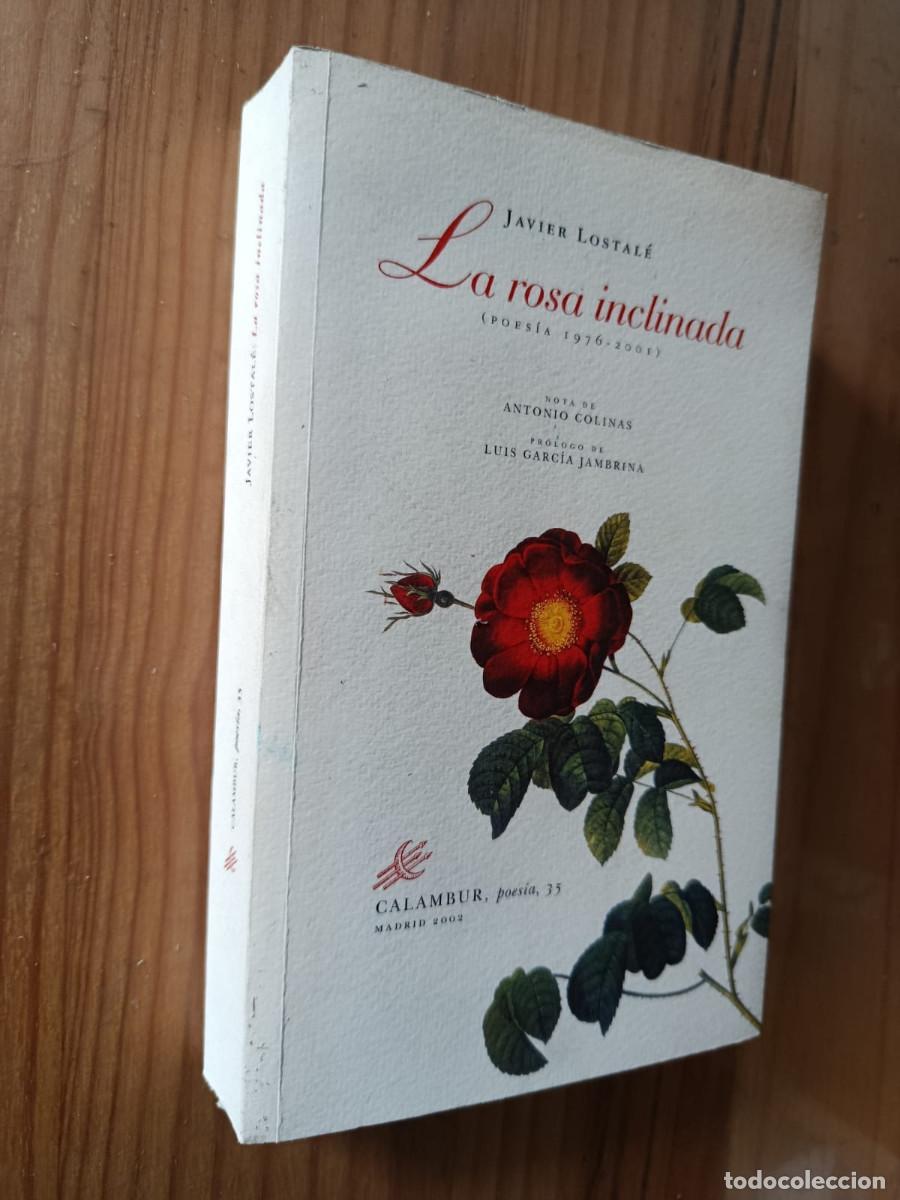 Libros de segunda mano: LA ROSA INCLINADA - Javier Lostal&eacute; - Foto 1