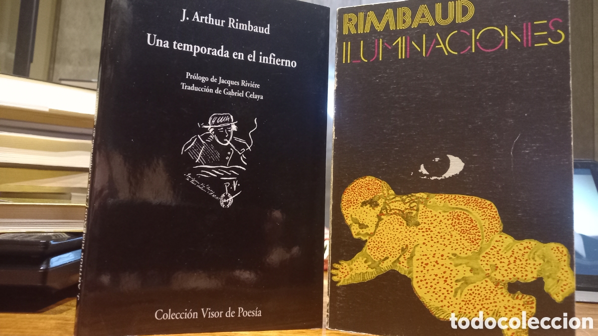 Libros de segunda mano: RIMBAUD lote 2 libros - Foto 1