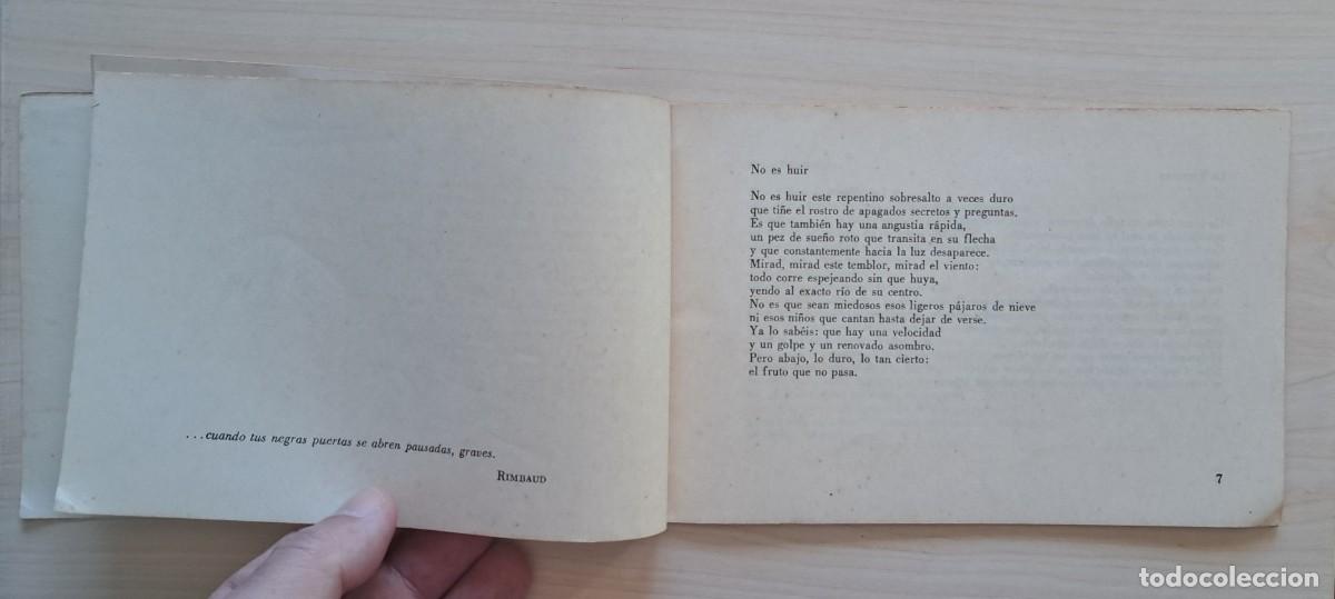 Libros de segunda mano: FAYAD JAMIS / LOS PARPADOS Y EL POLVO. - Foto 4