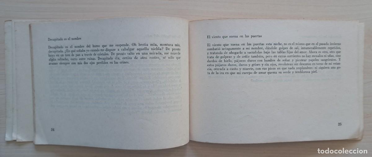 Libros de segunda mano: FAYAD JAMIS / LOS PARPADOS Y EL POLVO. - Foto 5