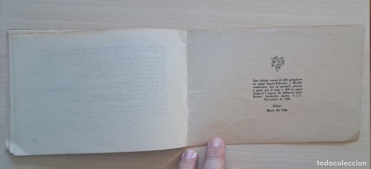 Libros de segunda mano: FAYAD JAMIS / LOS PARPADOS Y EL POLVO. - Foto 6