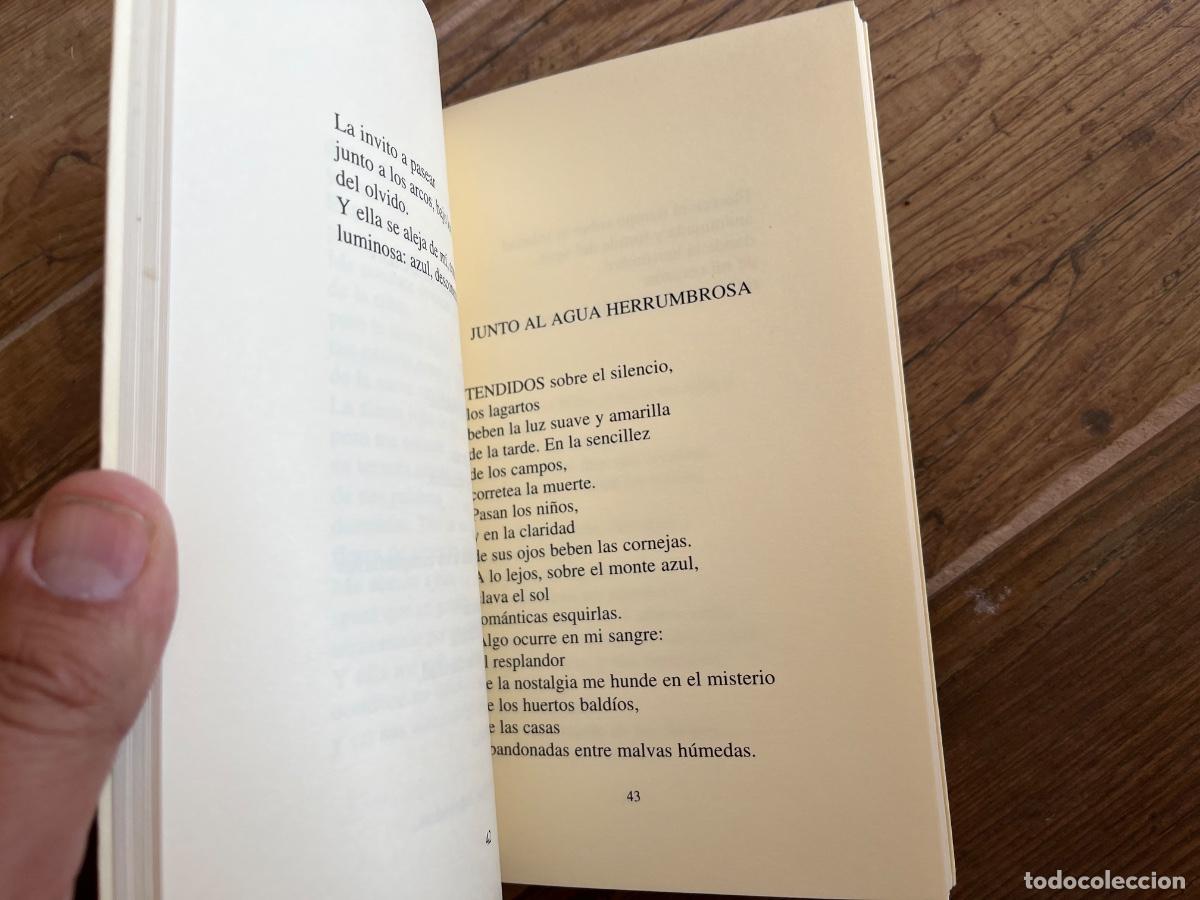 Libros de segunda mano: EL RUMOR DE LOS CHOPOS - ALEJANDRO LOPEZ ANDRADA - Foto 6