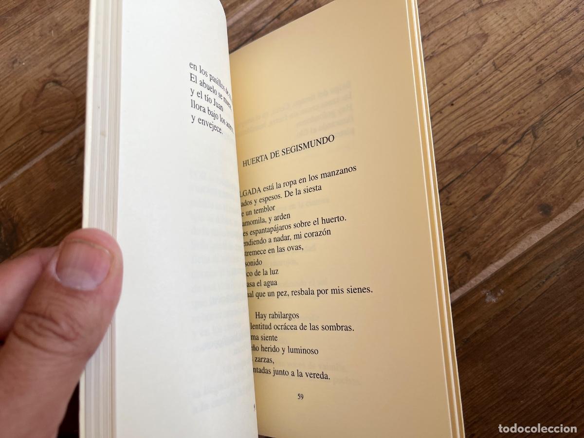 Libros de segunda mano: EL RUMOR DE LOS CHOPOS - ALEJANDRO LOPEZ ANDRADA - Foto 7