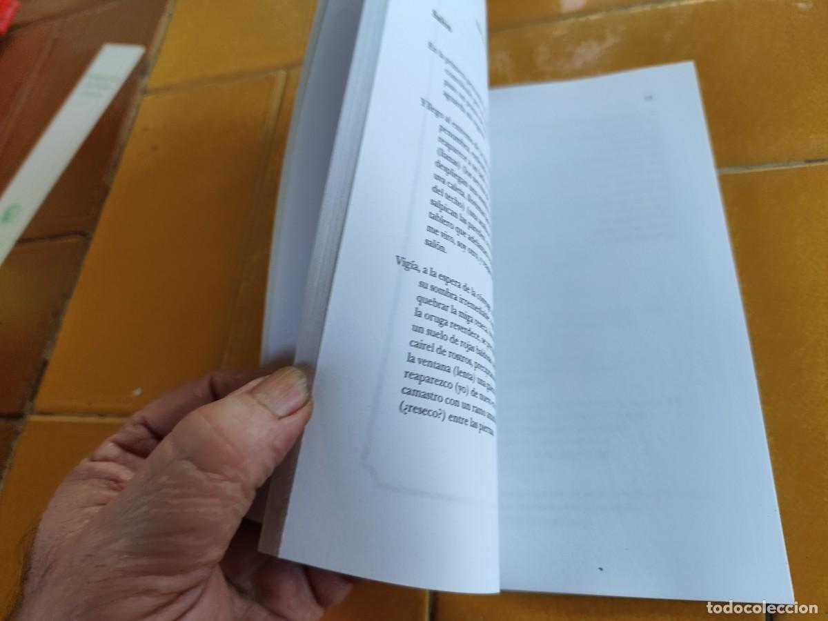 Libros de segunda mano: DIPTICOS / JOSE KOZER / CJA387 / BARTLEBY - Foto 5