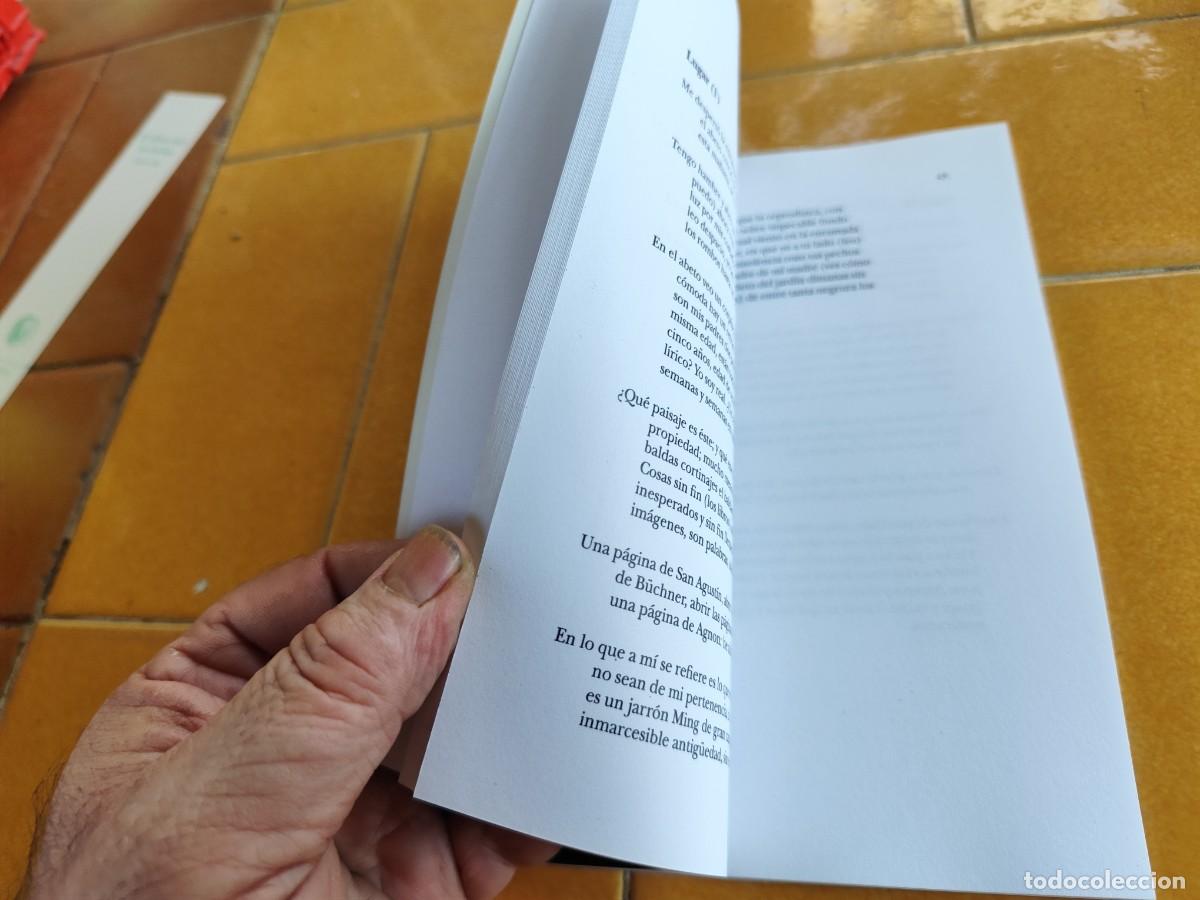 Libros de segunda mano: DIPTICOS / JOSE KOZER / CJA387 / BARTLEBY - Foto 6