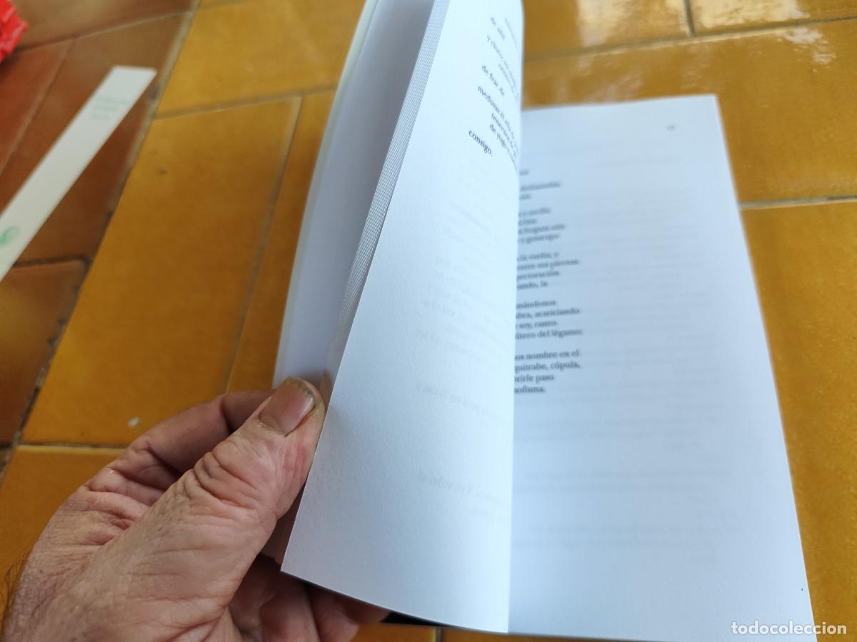 Libros de segunda mano: DIPTICOS / JOSE KOZER / CJA387 / BARTLEBY - Foto 7