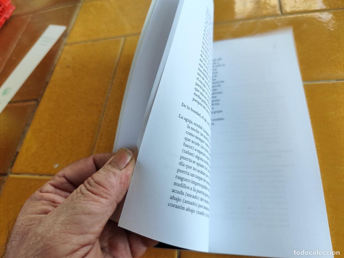 Libros de segunda mano: DIPTICOS / JOSE KOZER / CJA387 / BARTLEBY - Foto 8