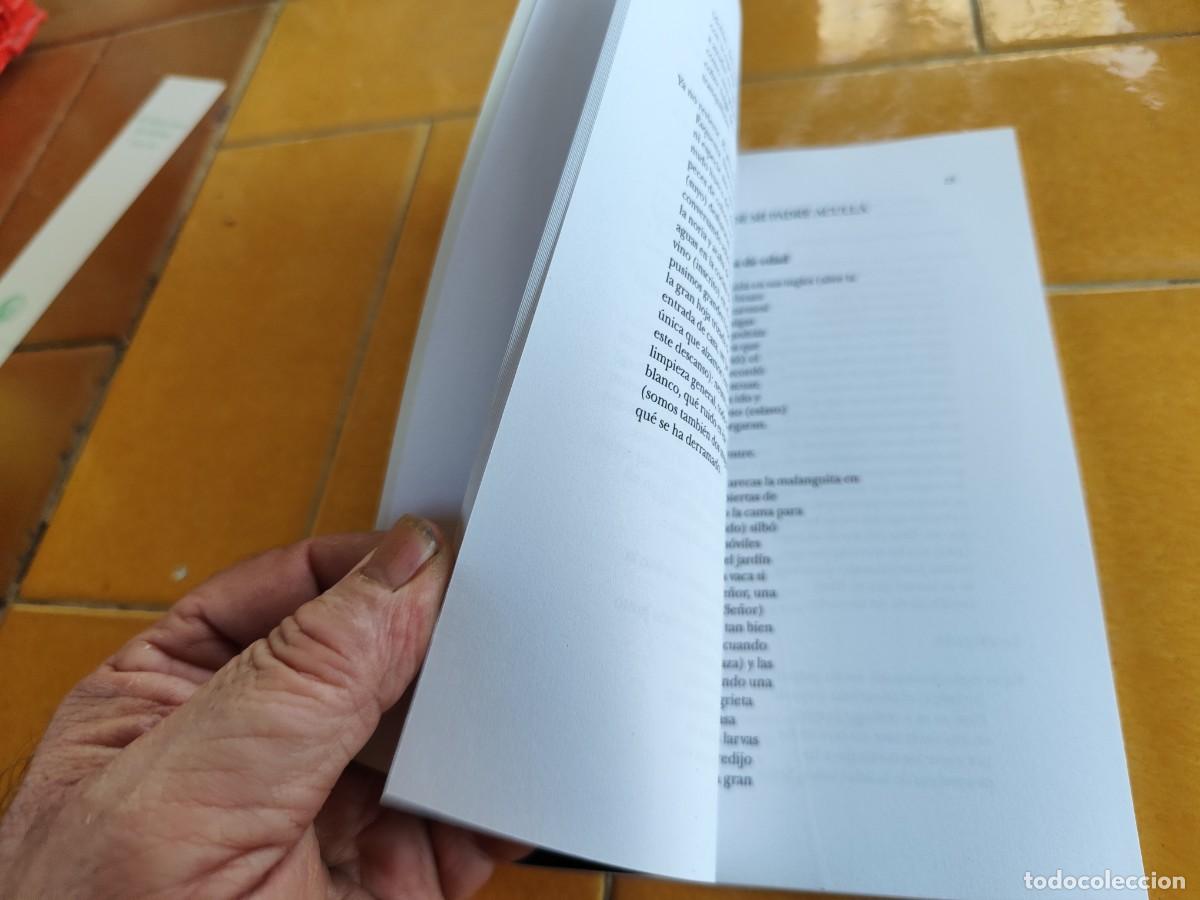 Libros de segunda mano: DIPTICOS / JOSE KOZER / CJA387 / BARTLEBY - Foto 9