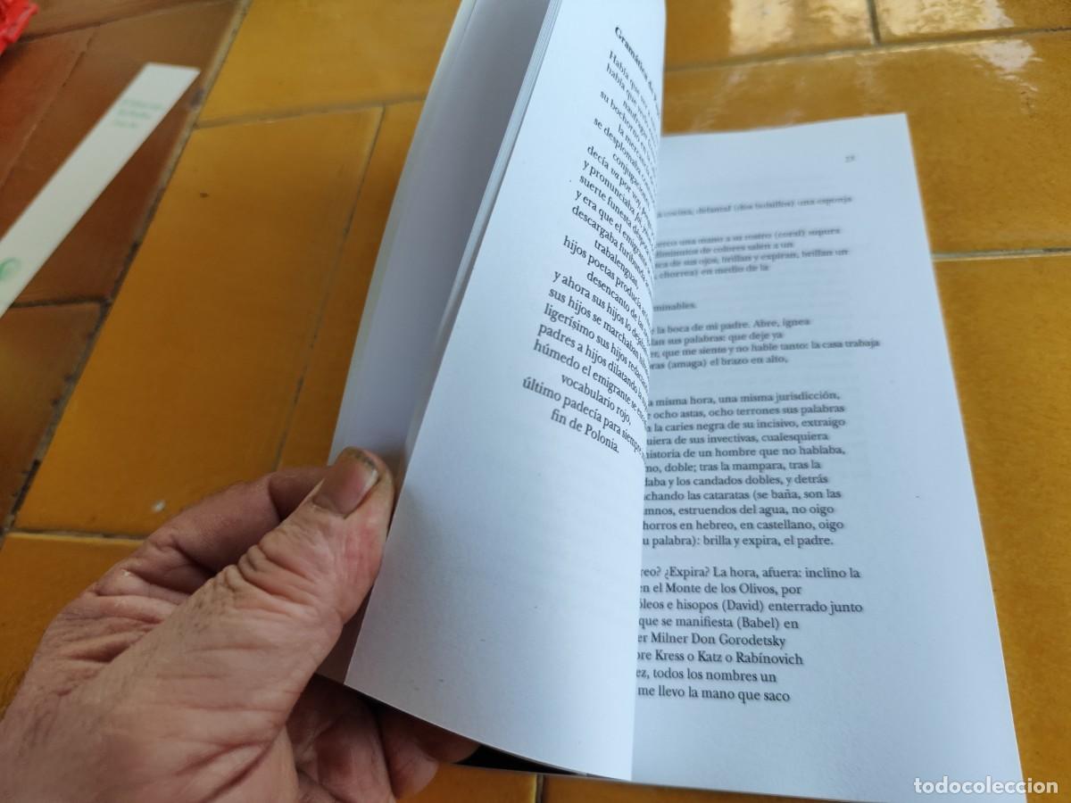 Libros de segunda mano: DIPTICOS / JOSE KOZER / CJA387 / BARTLEBY - Foto 10