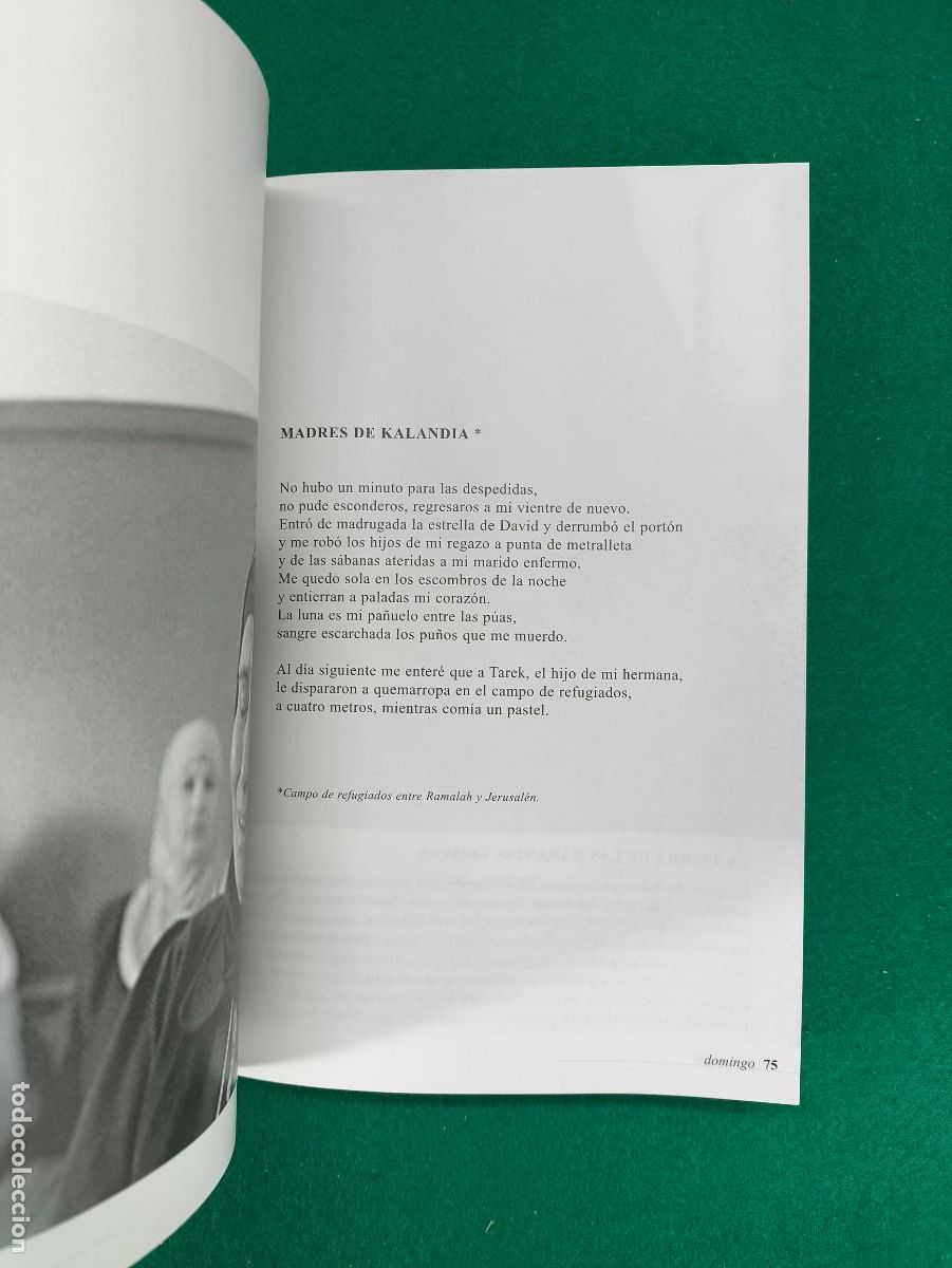 Libros de segunda mano: INSOMNIO DE RAMALAH / &Aacute;NGEL PETISME / 2005. ECLIPSE - Foto 3