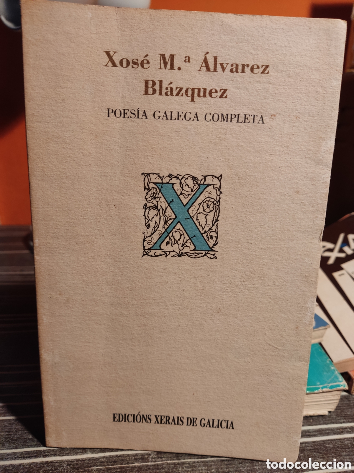 Libros de segunda mano: Xose Mar&iacute;a &Aacute;lvarez Bl&aacute;zquez - Foto 1