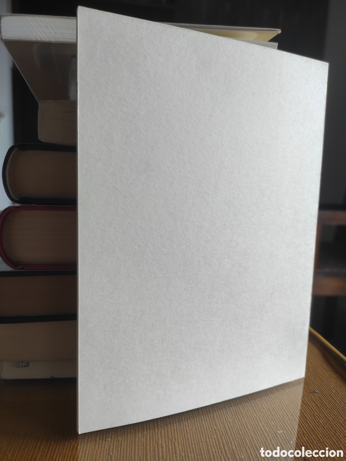 Libros de segunda mano: Mester de Lujur&iacute;a. Antonio Abad - Foto 2