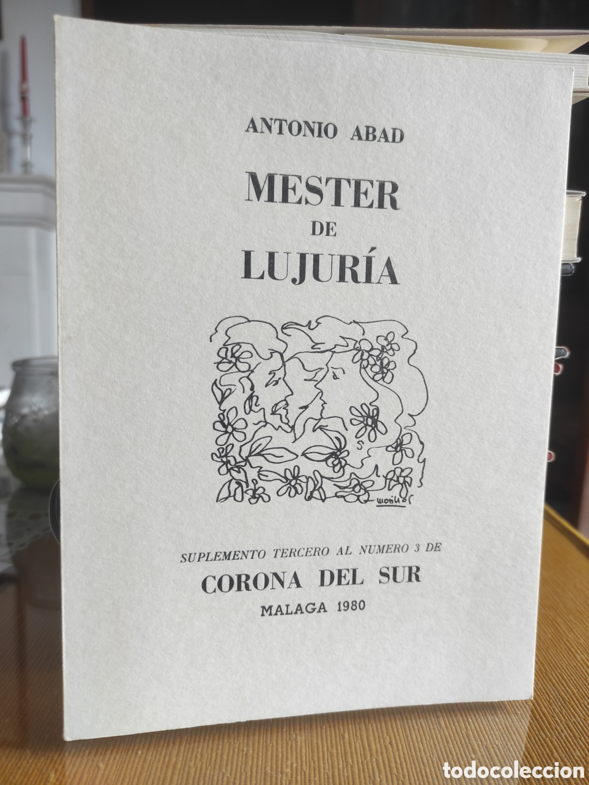 Libros de segunda mano: Mester de Lujur&iacute;a. Antonio Abad - Foto 1