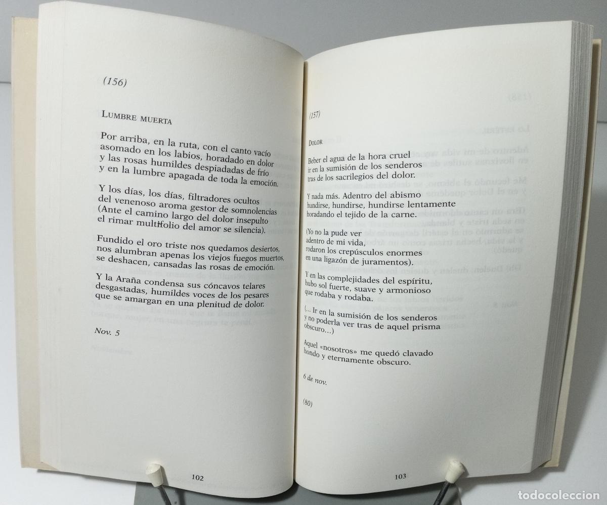 Libros de segunda mano: Cuadernos de Temuco - Neruda, Pablo - Foto 2