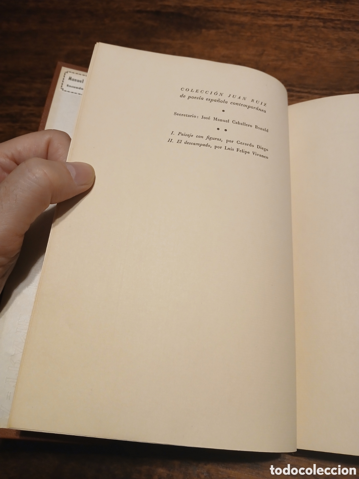 Libros de segunda mano: El descampado, Luis Felipe Vivanco - Foto 4