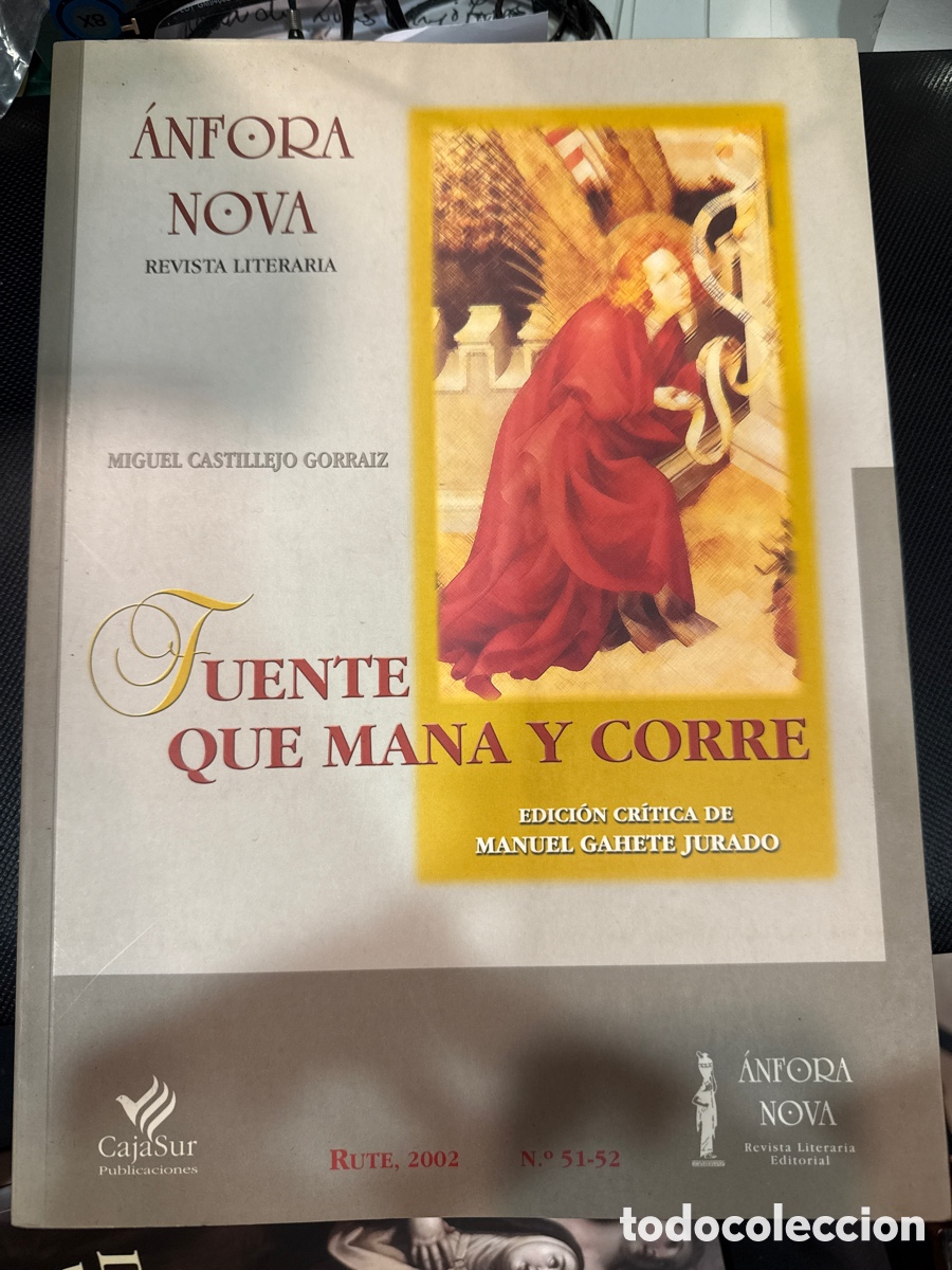 Livres d'occasion: CASTILLEJO GORR&Aacute;IZ, Miguel. Fuente que mana y corre