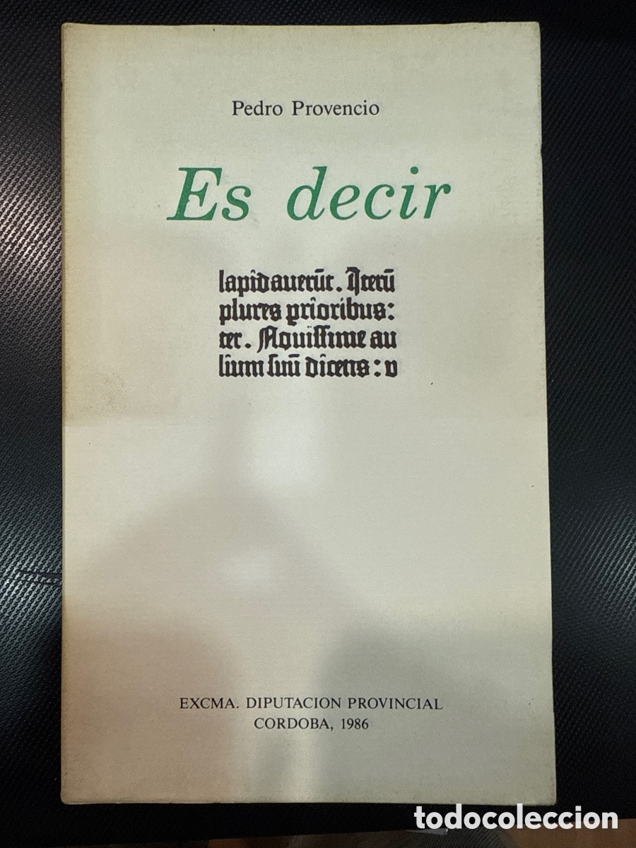 Libri di seconda mano: PROVENCIO, Pedro. Es decir