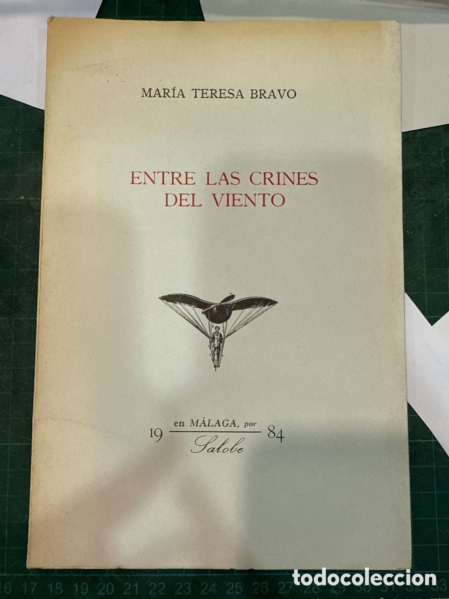 Gebrauchte B&uuml;cher: BRAVO, Mar&iacute;a Teresa. Entre las crines del viento