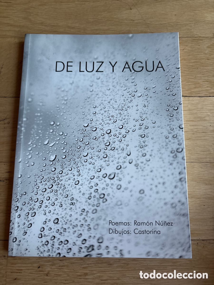 Libros de segunda mano: De luz y Agua. Astorga. Poemas. Ram&oacute;n N&uacute;&ntilde;ez. Dibujos: Castorina ASM