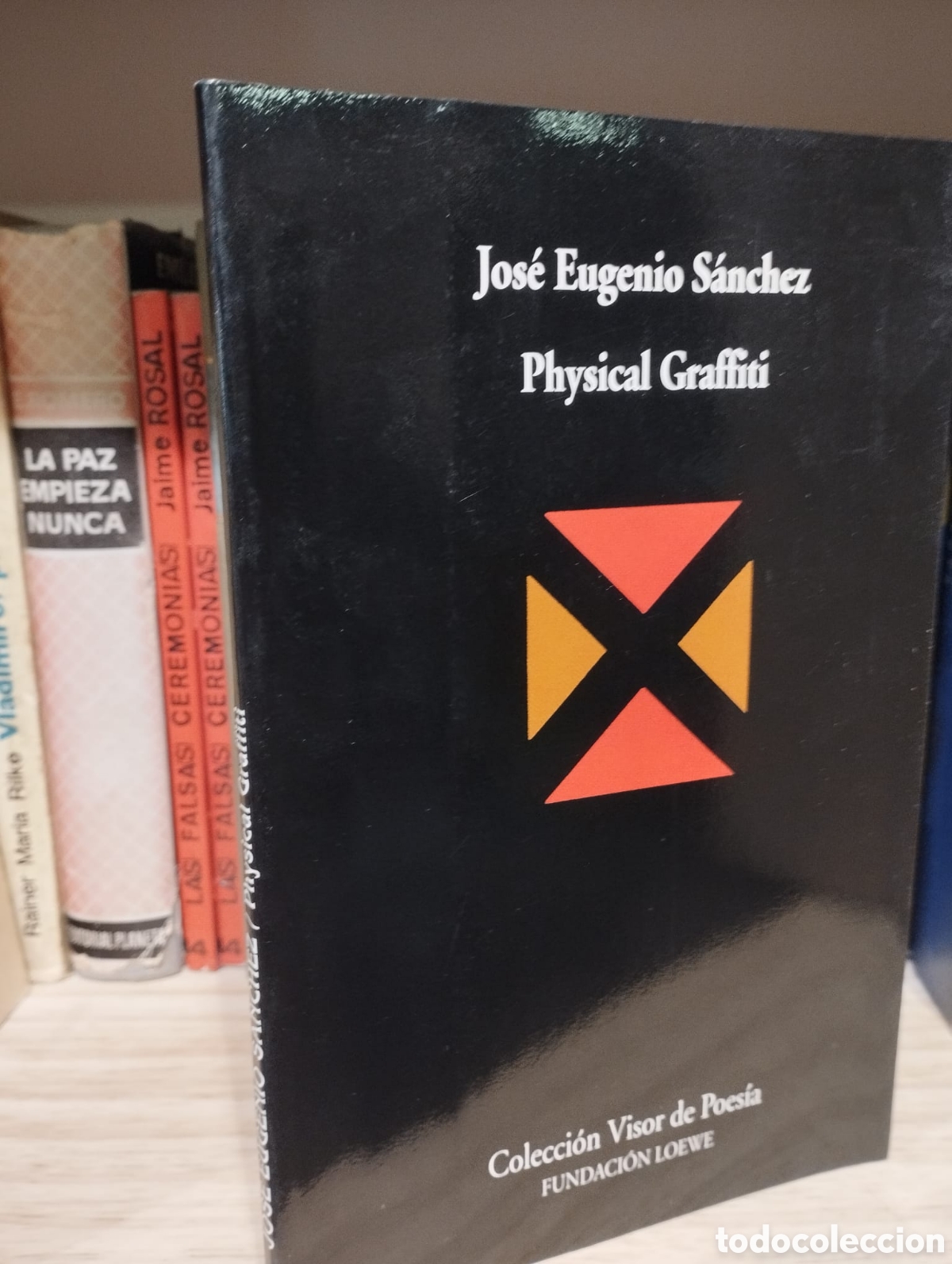 Libros de segunda mano: Physical graffiti - Jos&eacute; Eugenio S&aacute;nchez - Foto 1