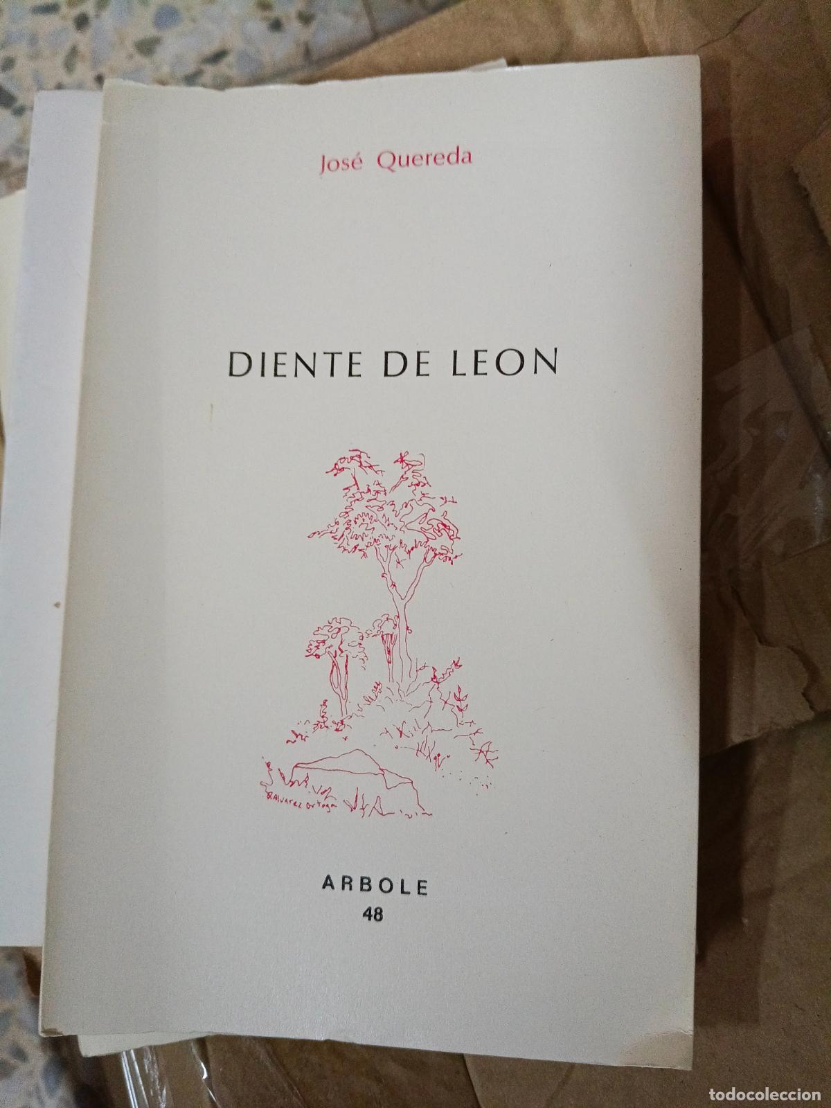 Libros de segunda mano: Diente de Le&oacute;n - Jos&eacute; Quereda - Foto 1