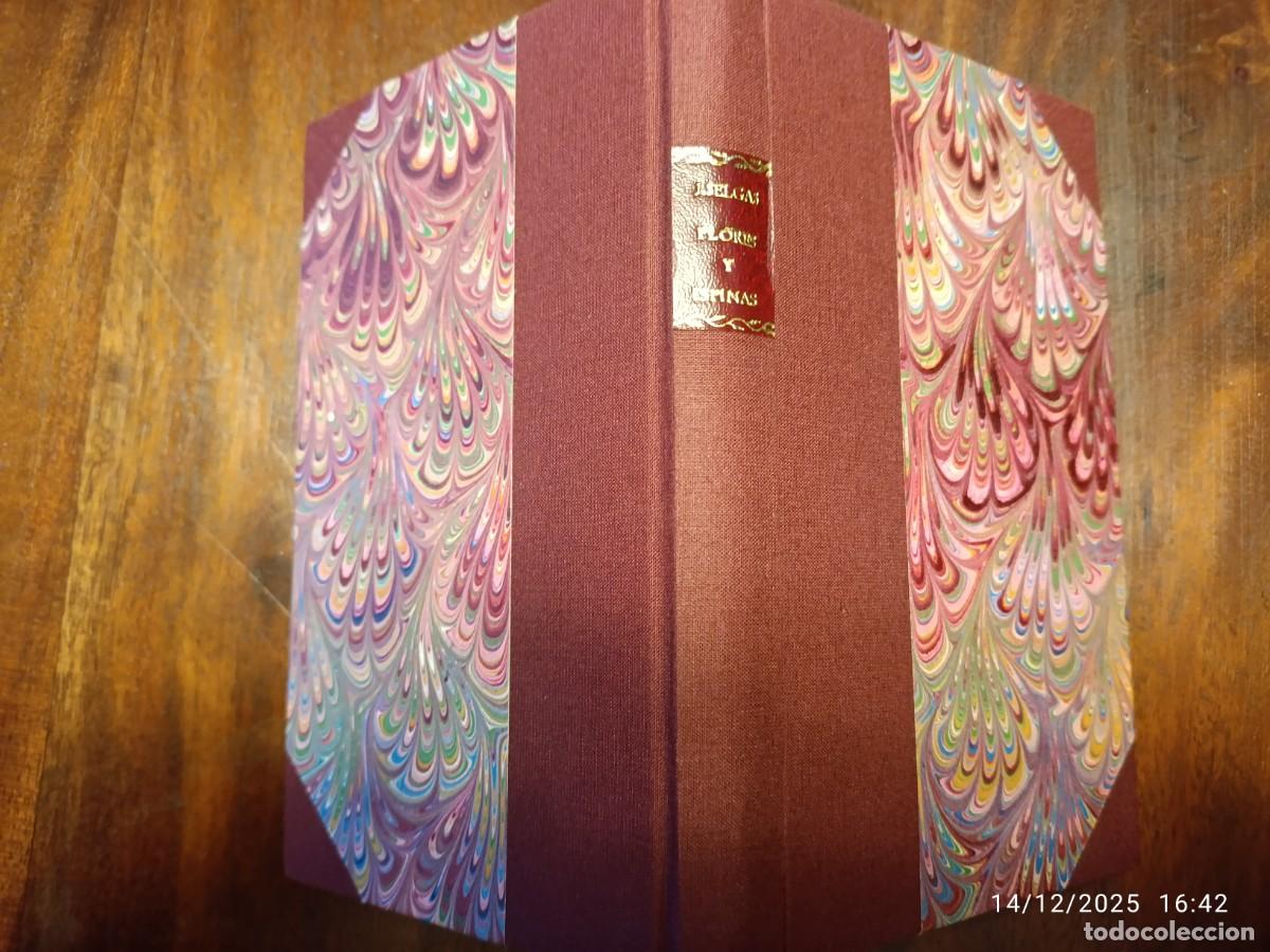 Libros de segunda mano: Flores y espinas. Jos&eacute; Selgas - Foto 3