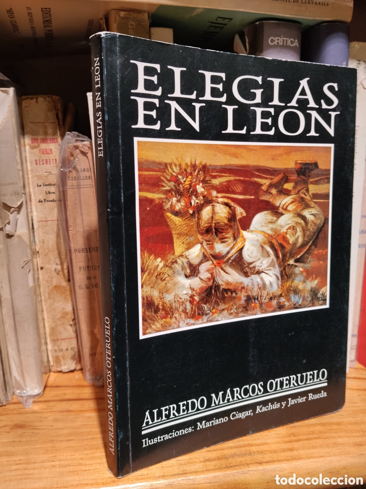 Second hand books: Eleg&iacute;as en Le&oacute;n - Alfredo Marcos Oteruelo