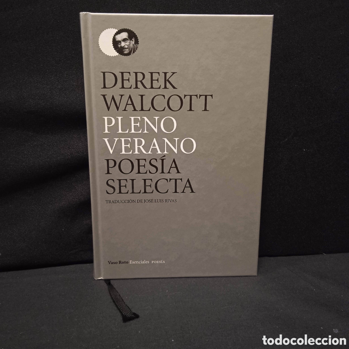 Gebrauchte B&uuml;cher: PLENO VERANO POES&Iacute;A SELECTA - DEREK WALCOTT (TRAD JOS&Eacute; LUIS RIVAS) - VASO ROTO 2012 #9606