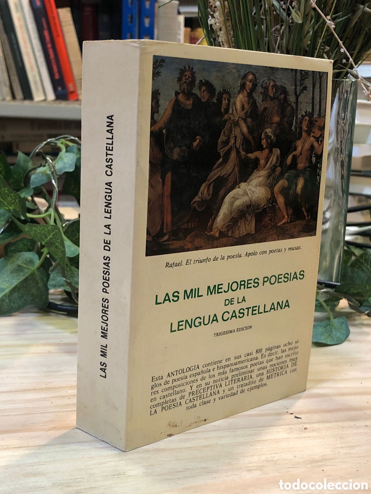 Libri di seconda mano: Las mil mejores poes&iacute;as de la Lengua Castellana (Ocho siglos de poes&iacute;a espa&ntilde;ola e hispanoamericana)