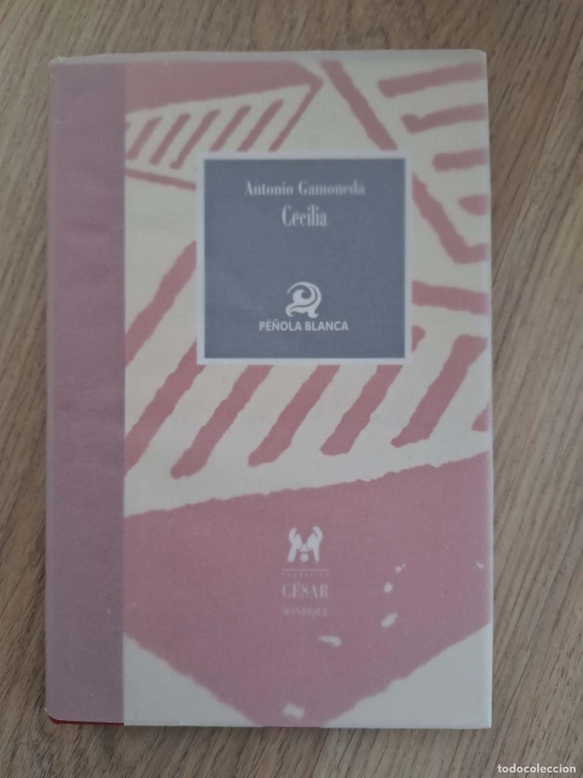 Libros de segunda mano: Cecilia - Antonio Gamoneda - Foto 2
