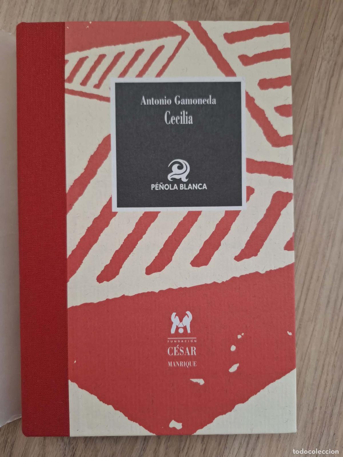 Libros de segunda mano: Cecilia - Antonio Gamoneda - Foto 1