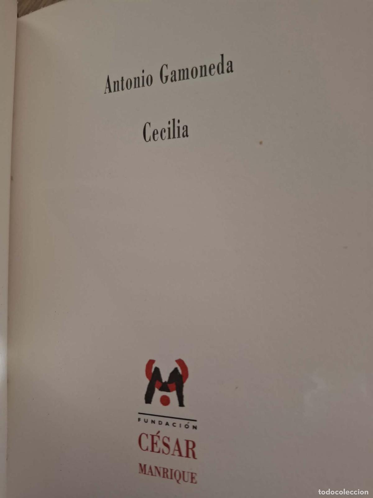 Libros de segunda mano: Cecilia - Antonio Gamoneda - Foto 4